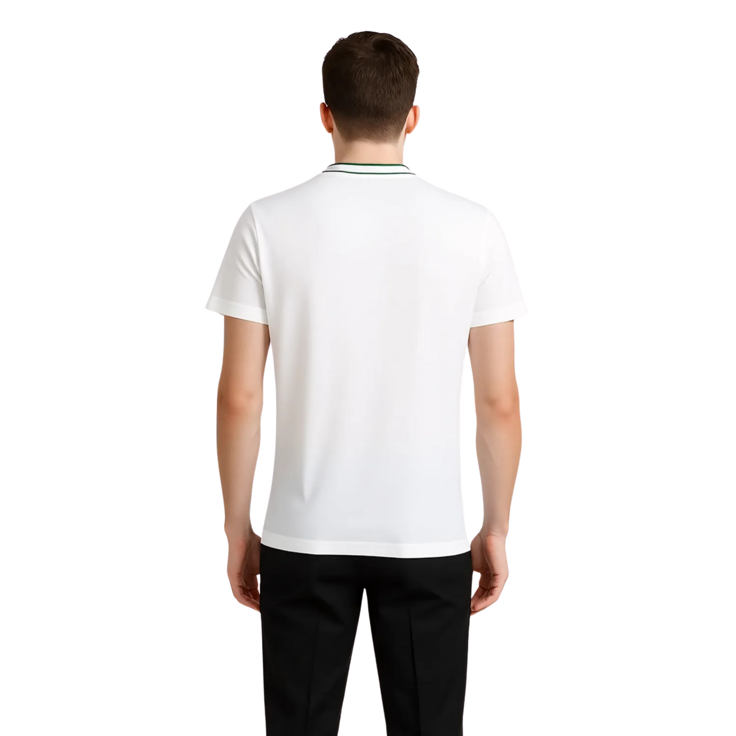Men's Organic Cotton Crew Neck T- Shirt with Striped Collar