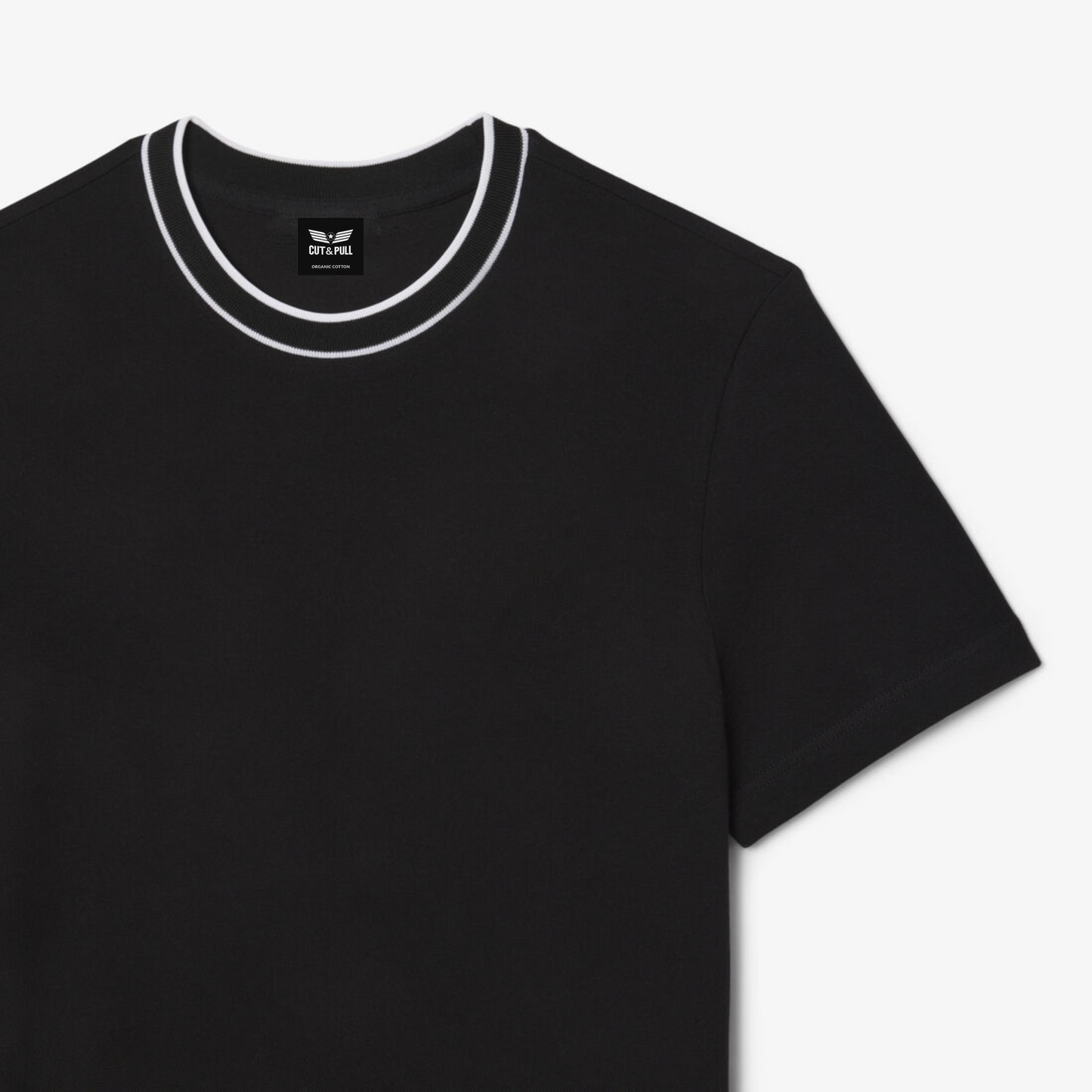 Men's Organic Cotton Crew Neck T- Shirt with Striped Collar