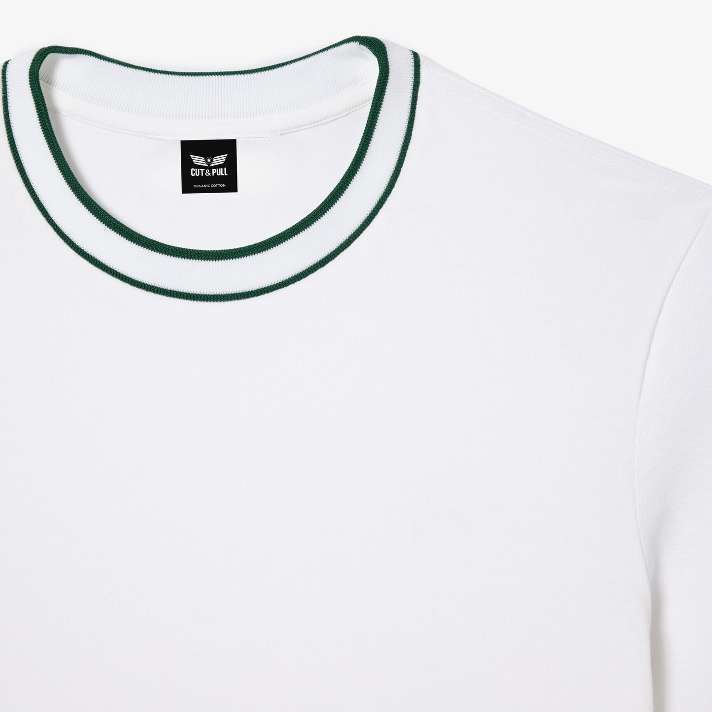 Men's Organic Cotton Crew Neck T- Shirt with Striped Collar